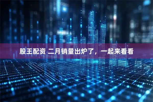 股王配资 二月销量出炉了，一起来看看