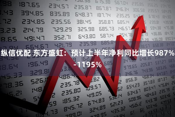 纵信优配 东方盛虹：预计上半年净利同比增长987%-1195%