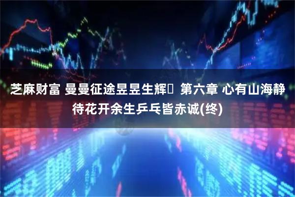 芝麻财富 曼曼征途昱昱生辉・第六章 心有山海静待花开余生乒乓皆赤诚(终)